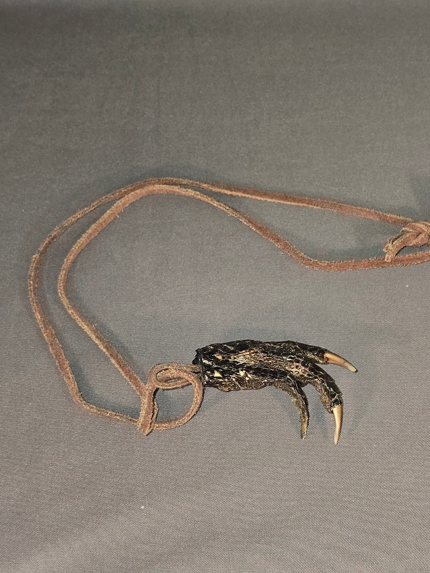 Alligator Necklace - various styles