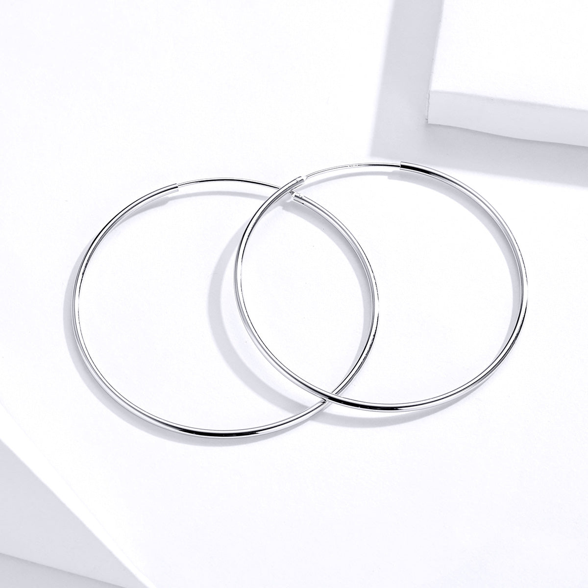 S925 Sterling Silver Earrings for Women