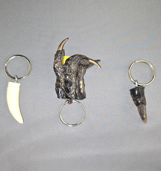 Alligator Keychain - various styles