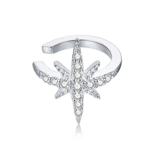 925 Sterling Silver Plated Platinum Pavé Setting CZ Earrings for Women