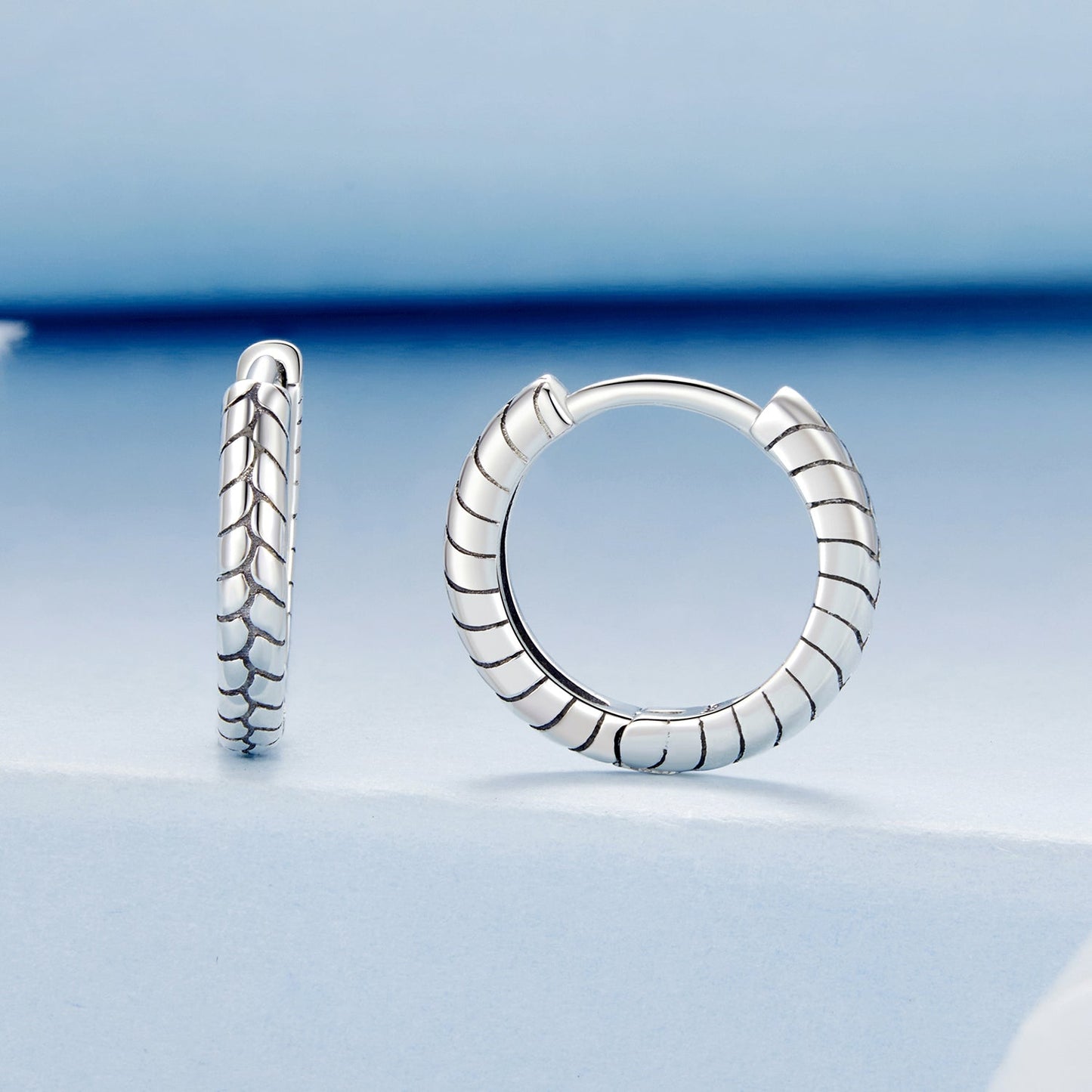 925 Sterling Silver Earrings